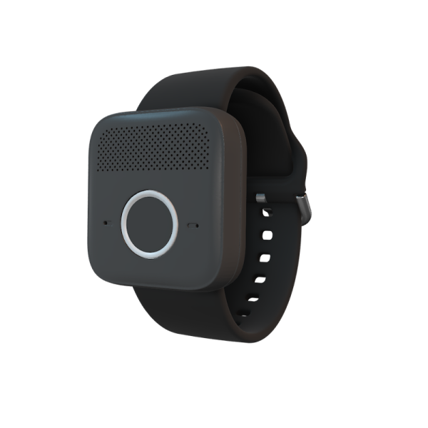 Belle-W-Band Belle-W-Band