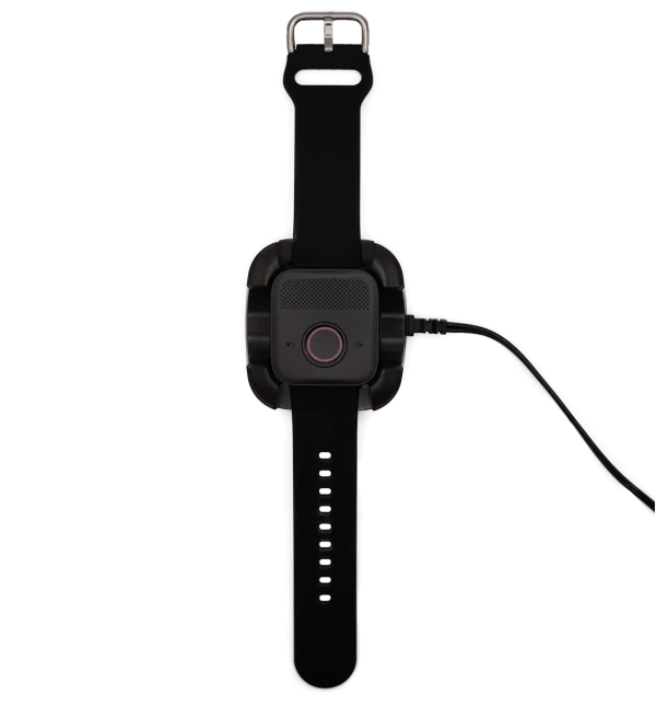 BelleWincradle_1024x1024@2x BelleWincradle_1024x1024@2x